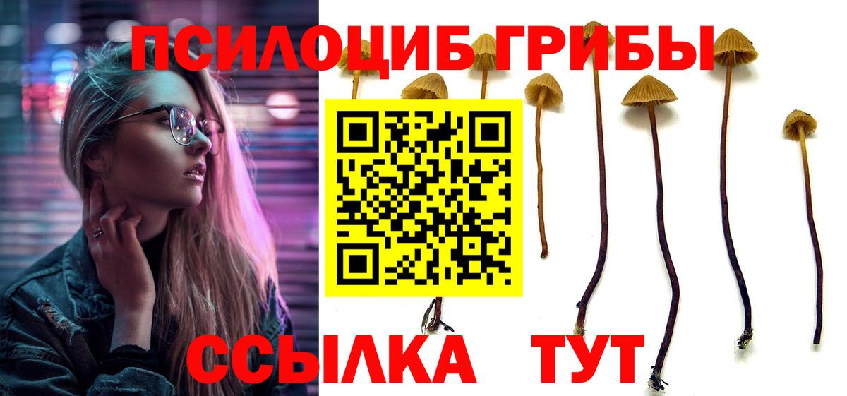Галлюциногенные грибы прущие грибы Набережные Челны